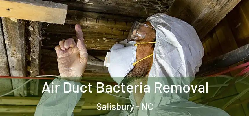  Air Duct Bacteria Removal Salisbury - NC
