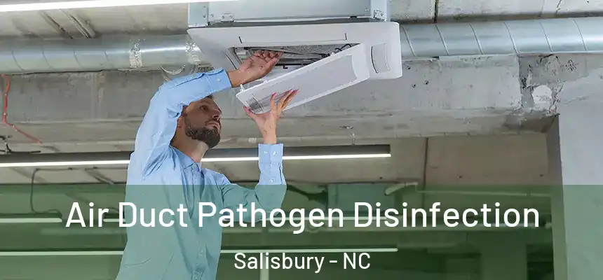  Air Duct Pathogen Disinfection Salisbury - NC
