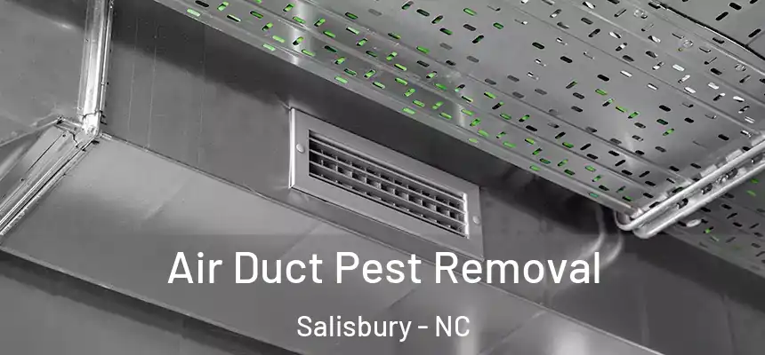  Air Duct Pest Removal Salisbury - NC