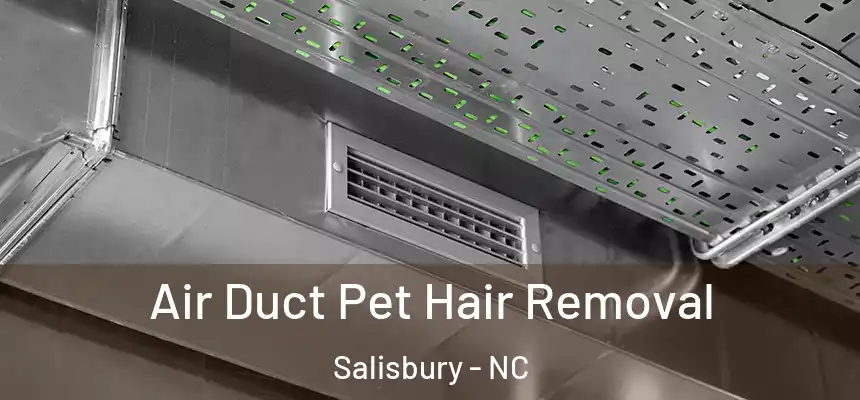  Air Duct Pet Hair Removal Salisbury - NC