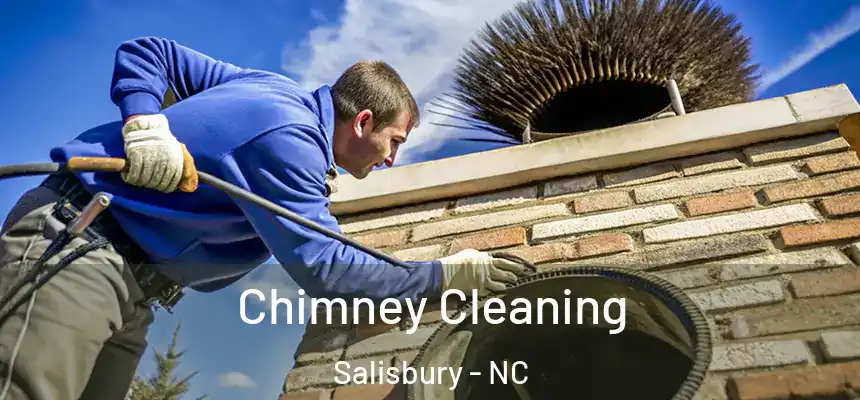  Chimney Cleaning Salisbury - NC