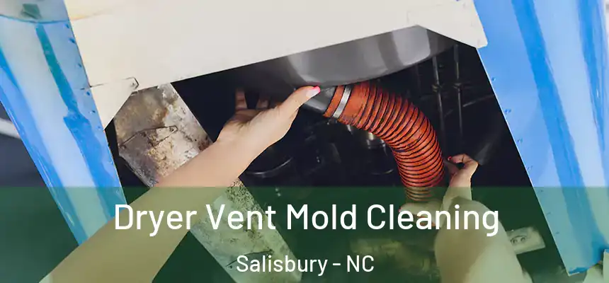  Dryer Vent Mold Cleaning Salisbury - NC