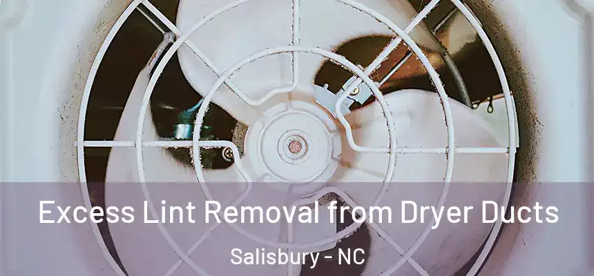Excess Lint Removal from Dryer Ducts Salisbury - NC