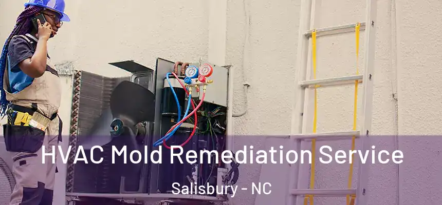  HVAC Mold Remediation Service Salisbury - NC