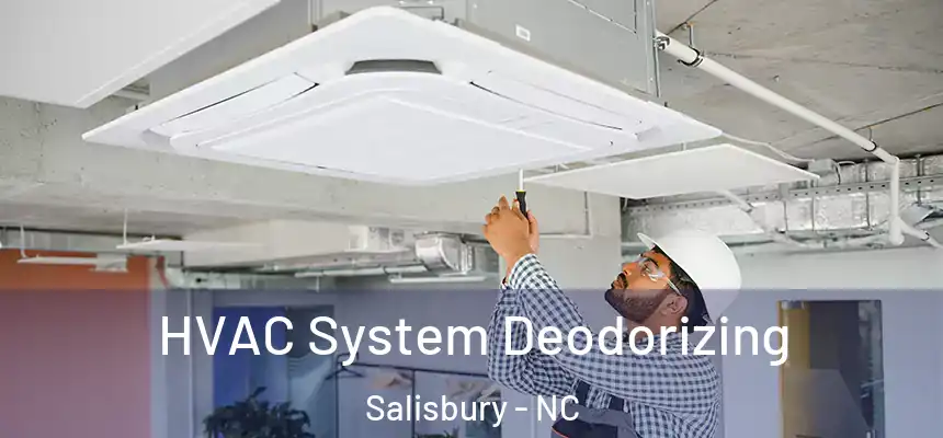 HVAC System Deodorizing Salisbury - NC
