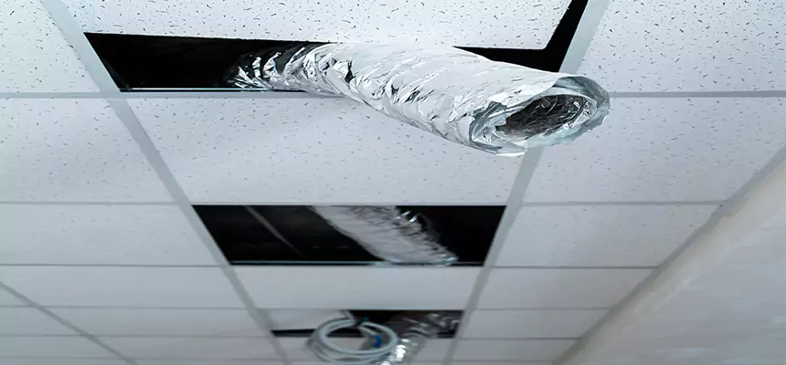 Our Air Duct Pet Hair Removal Services in Salisbury, NC