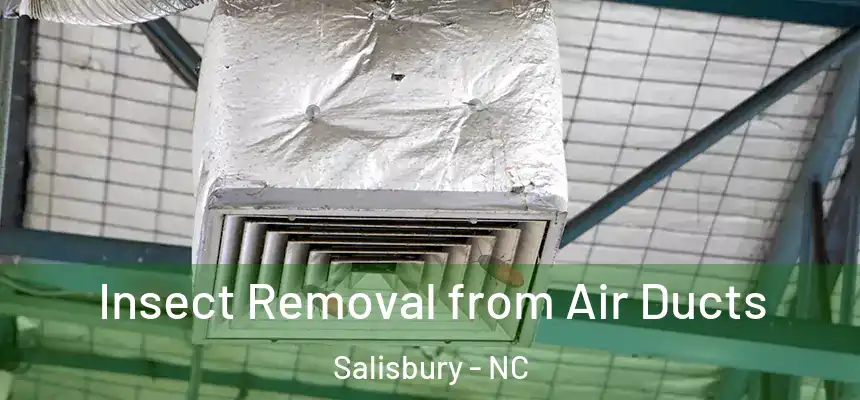  Insect Removal from Air Ducts Salisbury - NC