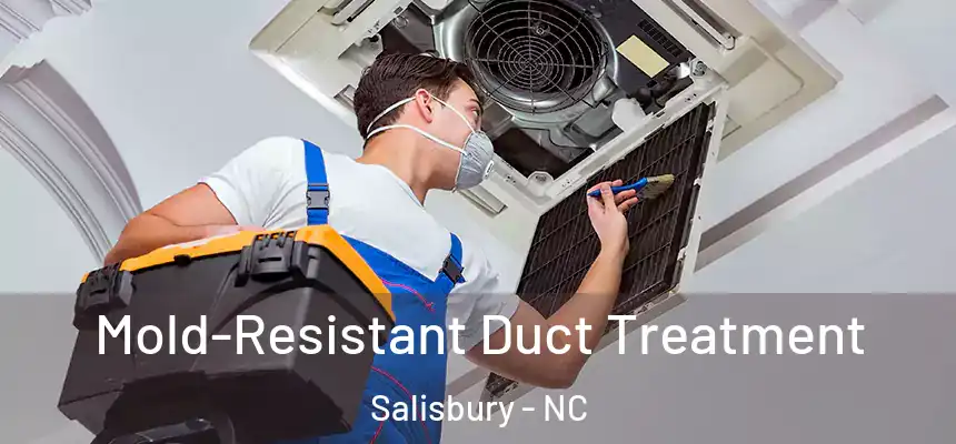 Mold-Resistant Duct Treatment Salisbury - NC
