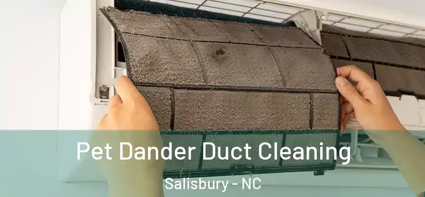 Pet Dander Duct Cleaning Salisbury - NC