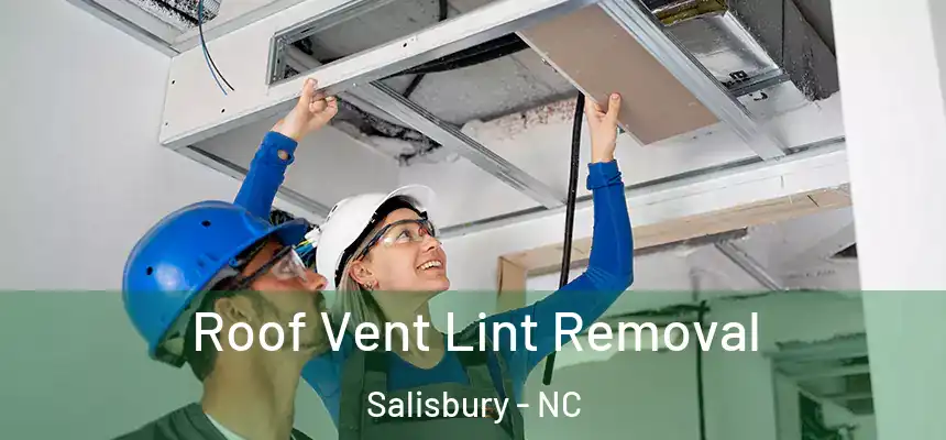  Roof Vent Lint Removal Salisbury - NC