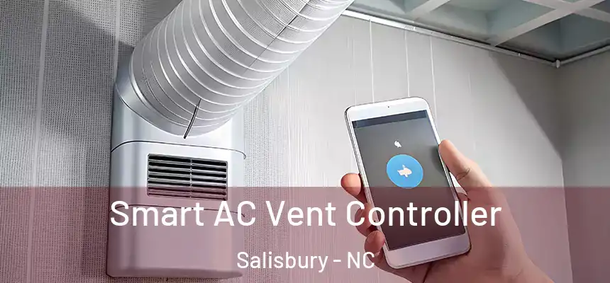 Smart AC Vent Controller Salisbury - NC